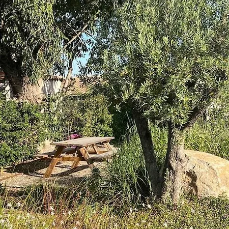 Villa Au Pied Des Alpilles 3 Saint-Remy-de-Provence